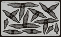 Eduard 35617 - Leaves Fern / Kapraï I
