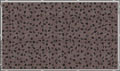 Eduard 36148 - Camo netting US 1940-1960 Spring -colour