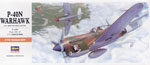 A 9 P-40N WARHAWK 
