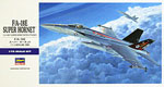 E 19 F/A-18E SUPER HORNET 