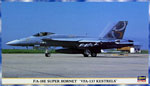 F/A-18E Super Hornet VFA-137 Kestrels 