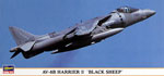 AV-88 BLACK SHEEP 