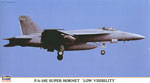 F/A-18E Super Hornet Low visibility