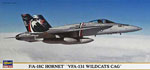F/A-18C HORNET VFA-131 Wildcats Cag