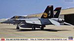 F/A-18E “Colorfull CAG”