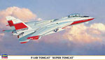 F-14B Tomcat Sper Tomcat 