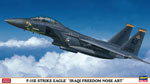 F-15E Iraqui freedom Nose