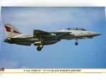 F-14A Tomcat Vf-154 Black Knights History 