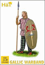 Celtic Warband
