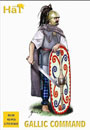 Celtic Command