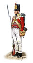 Peninsular War British Infantry