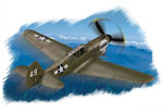 P-40 N Warhawk 1/72