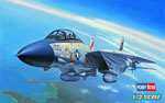 F-14a Tomcat