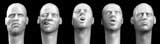 bald European heads (résine) 1/35