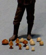Champignons
