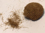 Herbe sauvege brune