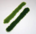 Bandes gazon vert