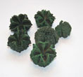 Noix de base verte