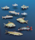 Animals - Set 5 