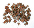 Leaves - maple