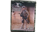 Italian Alpine Soldier Afghanistan 2008/9