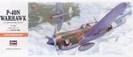 A 9 P-40N WARHAWK 