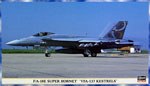 F/A-18E Super Hornet VFA-137 Kestrels 