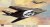 F 117A NIGHTHAWK SKUNK 