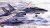 F-14A VF FREELANCERS 