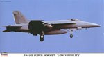 F/A-18E Super Hornet Low visibility