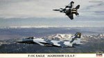 F-15C Eagle Agressor USAF