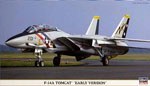 F-14A Tomcat early Version