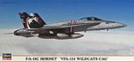 F/A-18C HORNET VFA-131 Wildcats Cag
