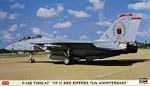 F-14B “VF-11 Red Rippers”
