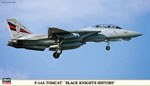  F-14A 'Black Knights History' 