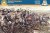 French Cuirassiers (Napoleonic Wars) 1:72