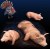 Animals - Set 23 1:35