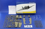 Hellcat Mk.II 1:48