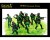 WWII German Army 1:72