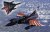 Dassault Mirage 2000N n°353 125-AM 