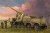 Schwerer Zugkraftwagen 18 t with 8.8cm Flak