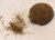 Herbe sauvege brune