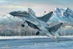 Mikoyan MiG-29UB Fulcrum