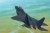 Chinese Shenyang J-31 Gyrfalcon 