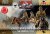 Polish Uhlans command on horseback 1:72