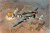Typhoon Mk.Ib (Late) 1:48