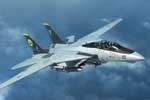 F-14D Tomcat 1:144