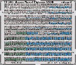 IJN Figures 1/700