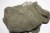 Filet de camouflage couleur gris 55 x 55 cm