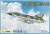 Mirage IIIO Interceptor
